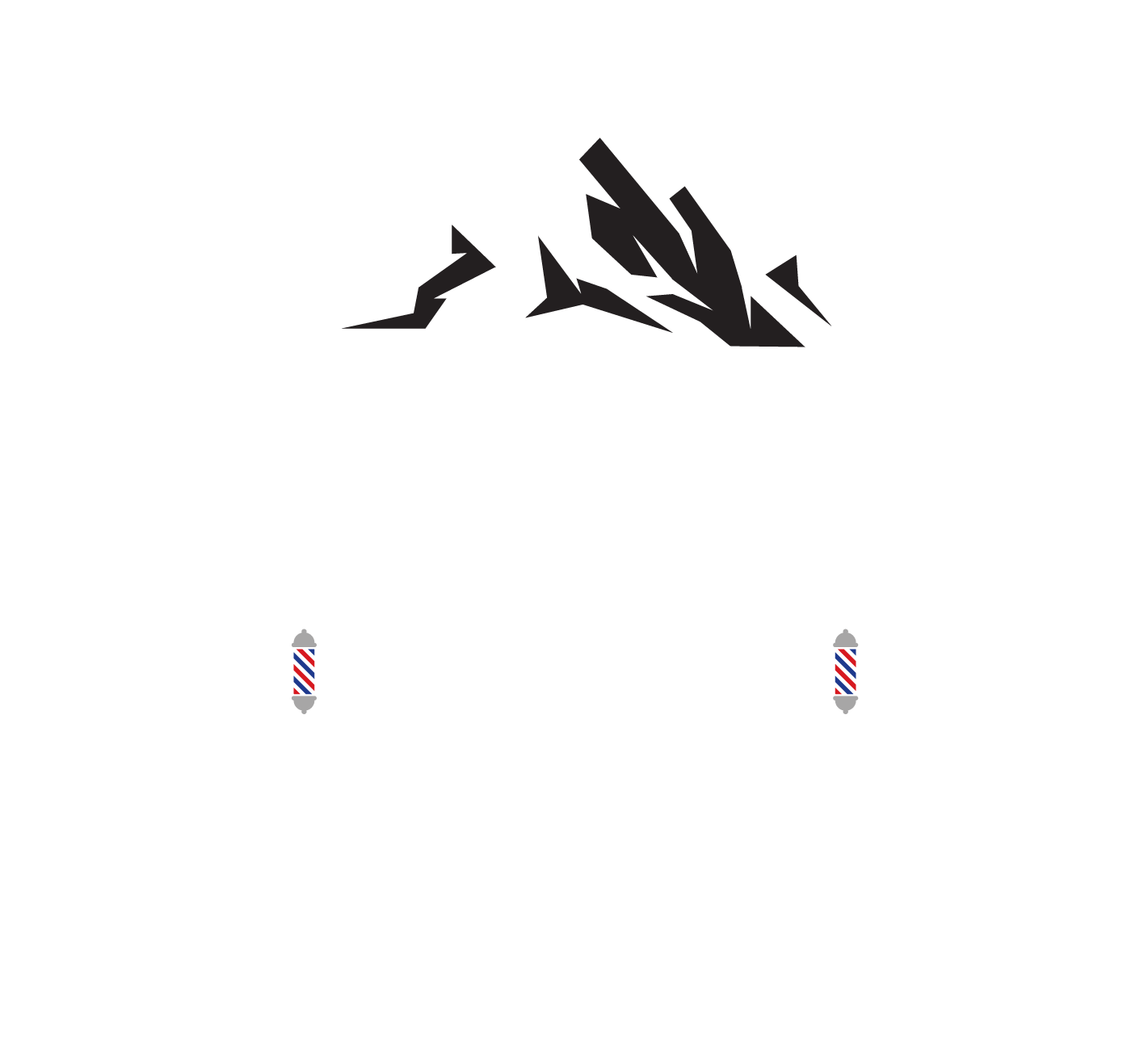 Saltaires Logo
